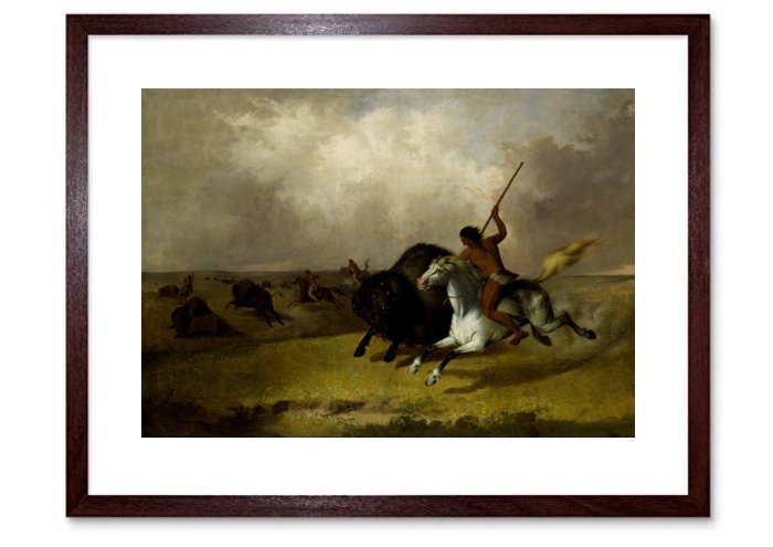 North American IndianFramed Print
